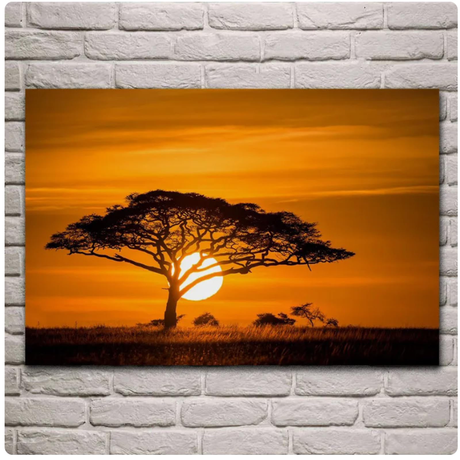 アートフレーム サバンナ/象 絵画 クリスタルピクチャー Amazon.co.jp: アートフレーム ホワイトジャガー 絵画